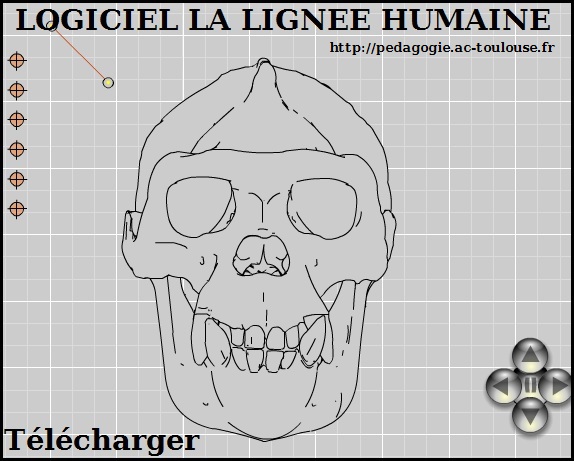 Un regard sur l’évolution de l’Homme