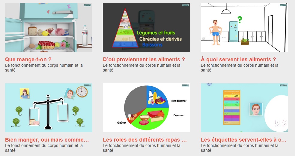 Les sciences expérimentales en CE2 – cycle 3 –