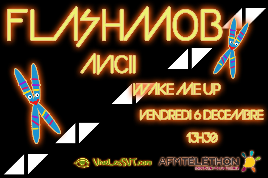 flashmob avicii 2