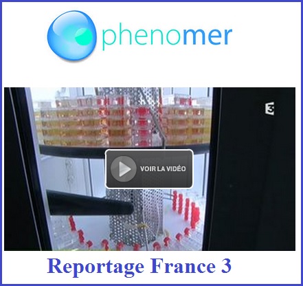 France 3 phenomer Bretagne