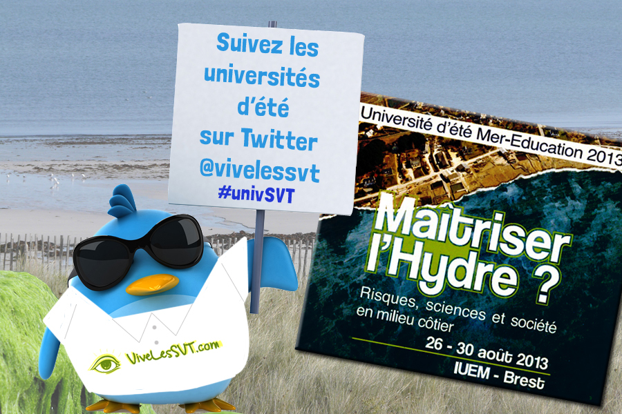 Université d’été en SVT – Mer-Education