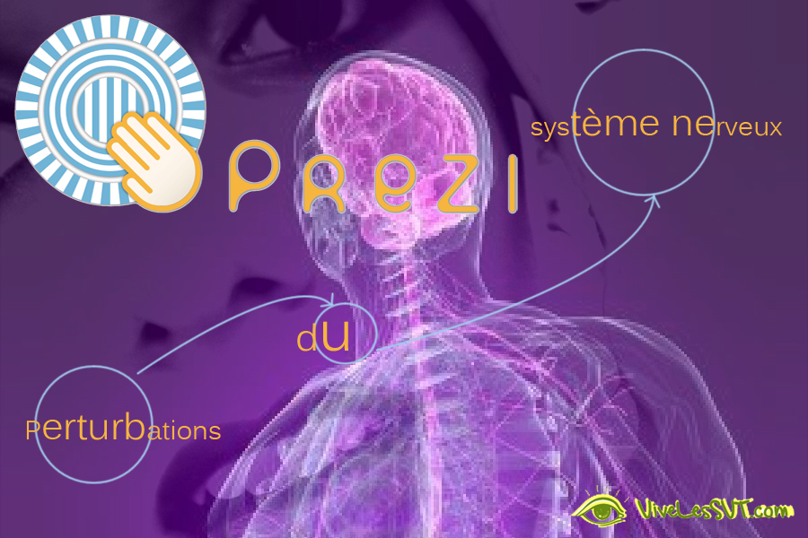 Prezi – Perturbations du système nerveux – 4ème F