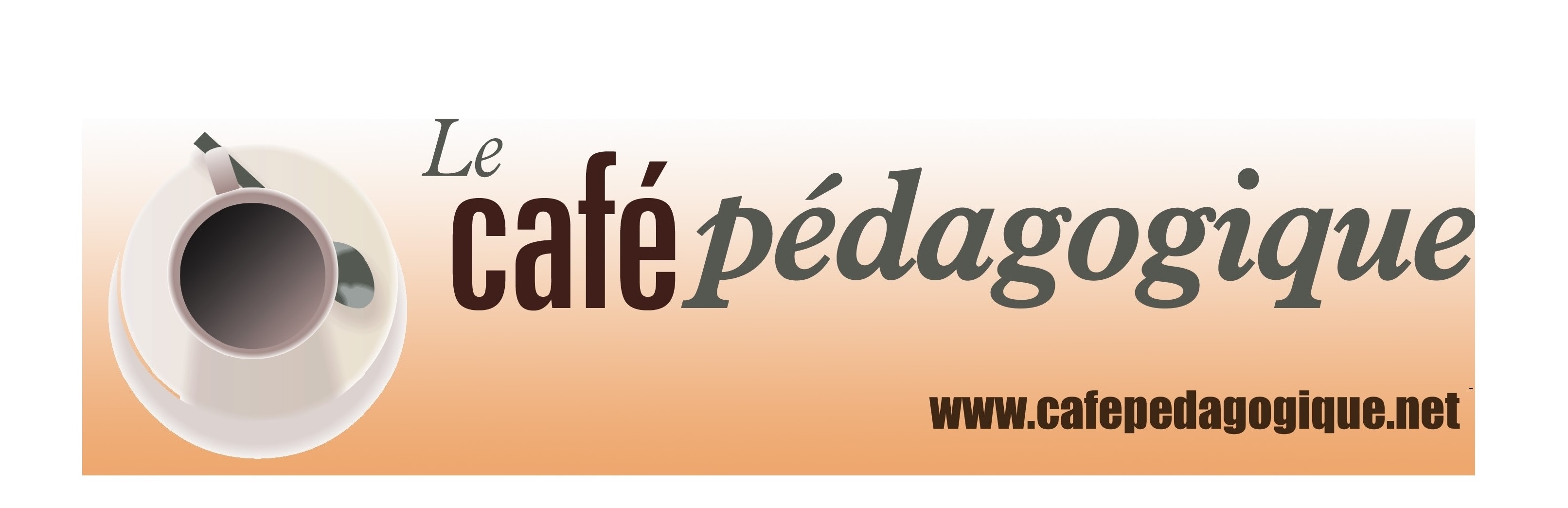 Articles de Julien Cabioch au Café Pédagogique