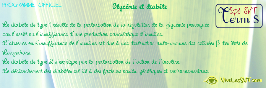 Corps humain et santé : glycémie et diabète – Spé SVT Bac S