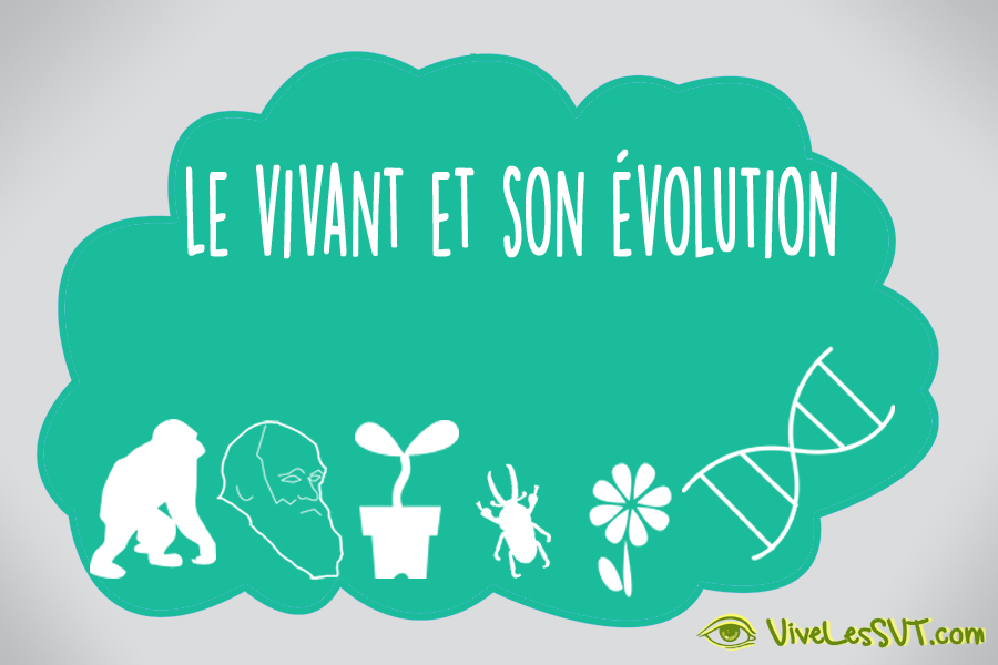 Le vivant et son évolution - Cycle 4 | Vive les SVT ! Les sciences de la vie et de la Terre au collège et au lycée - Cours de SVT en ligne -