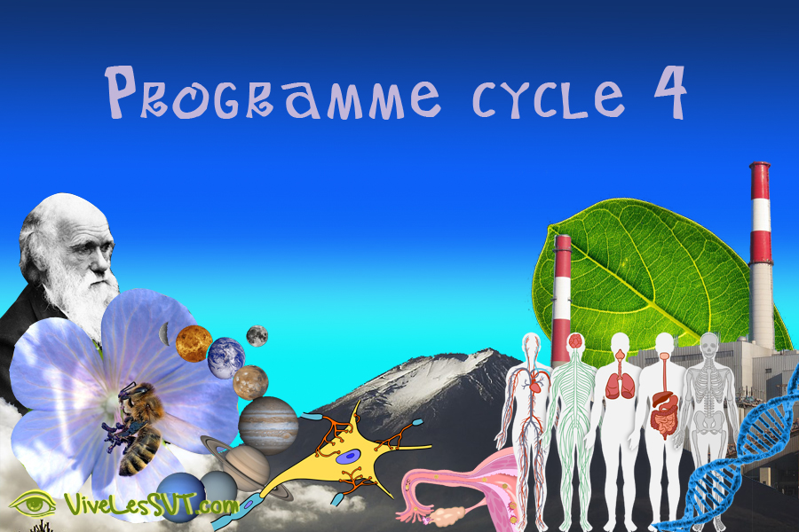 Programme SVT cycle 4 5ème 4ème 3ème