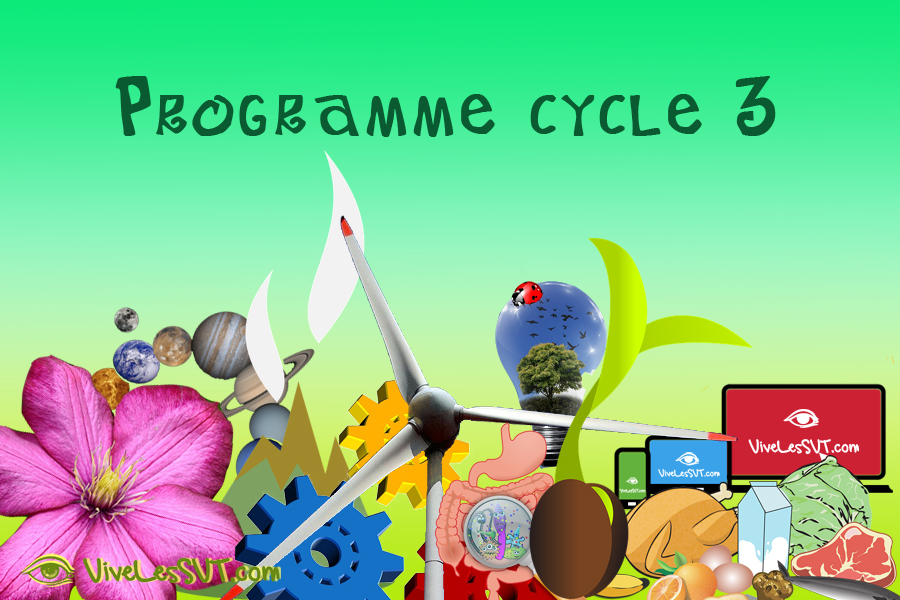 Programmes de Sciences – Cycles 2, 3 & 4