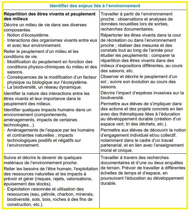 Sciences et Technologie au cycle 3 – Programme 2023