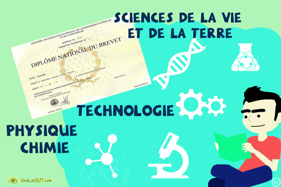 Epreuve de SVT au DNB – Brevet des collèges