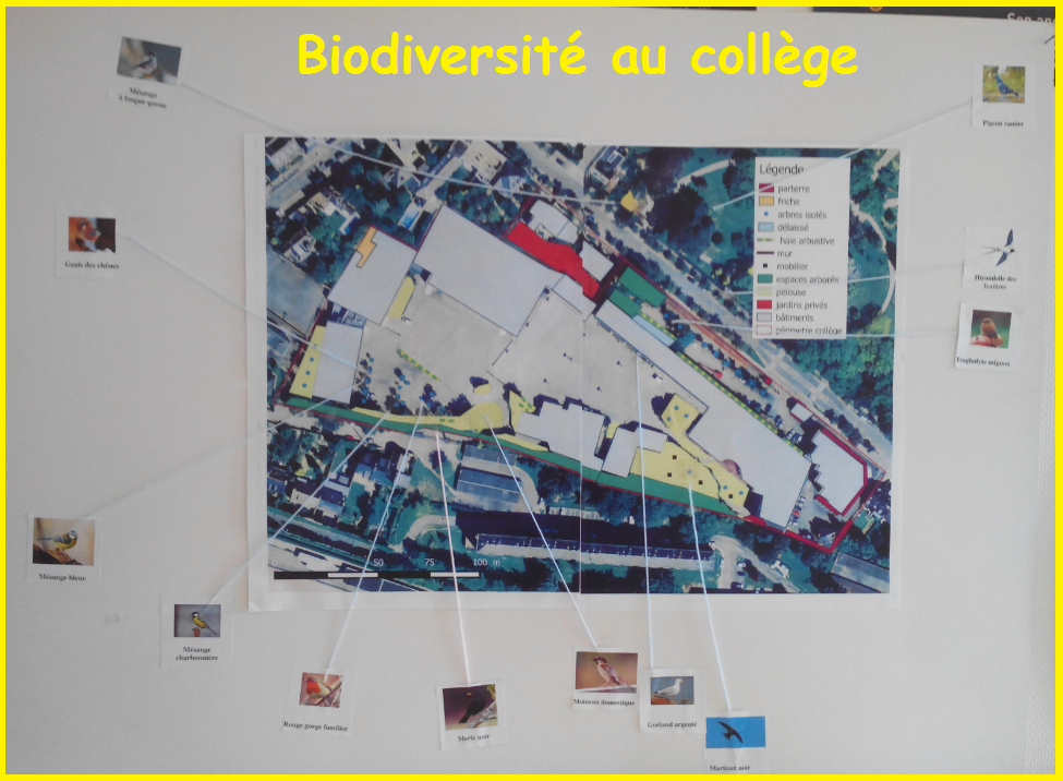 biodiversité au collège Assomption Rennes