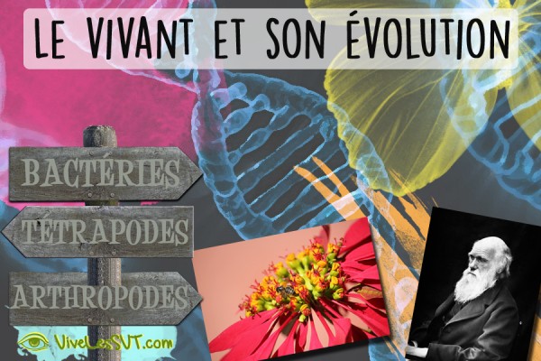 Les Plus Belle Page De Garde Svt En Fleurs Elabores Le vivant et son évolution programme de SVT 5ème 4ème 3ème cycle 4