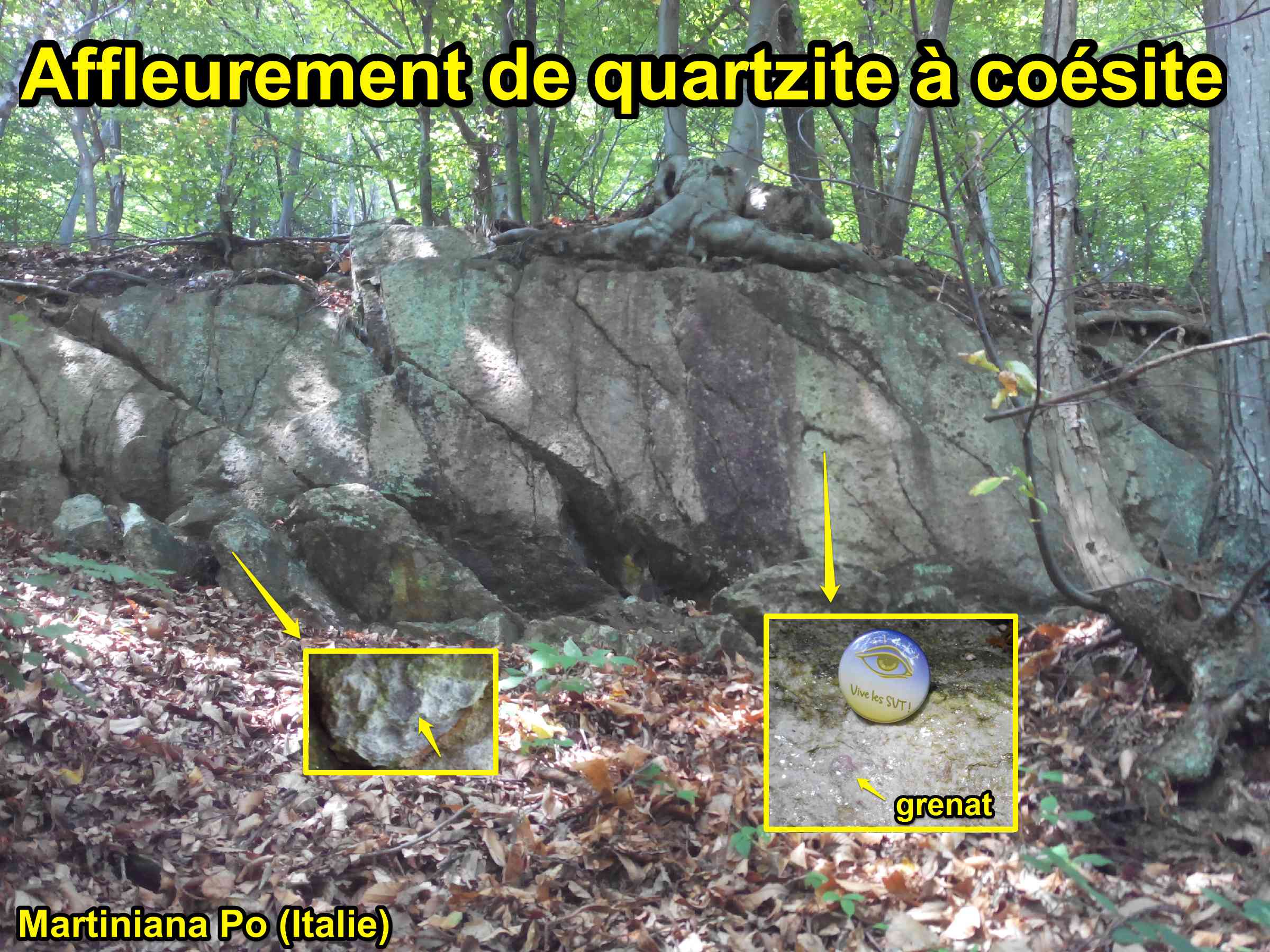 Affleurement quartzite coésite Dora Maira Italie haute pression métamorphisme