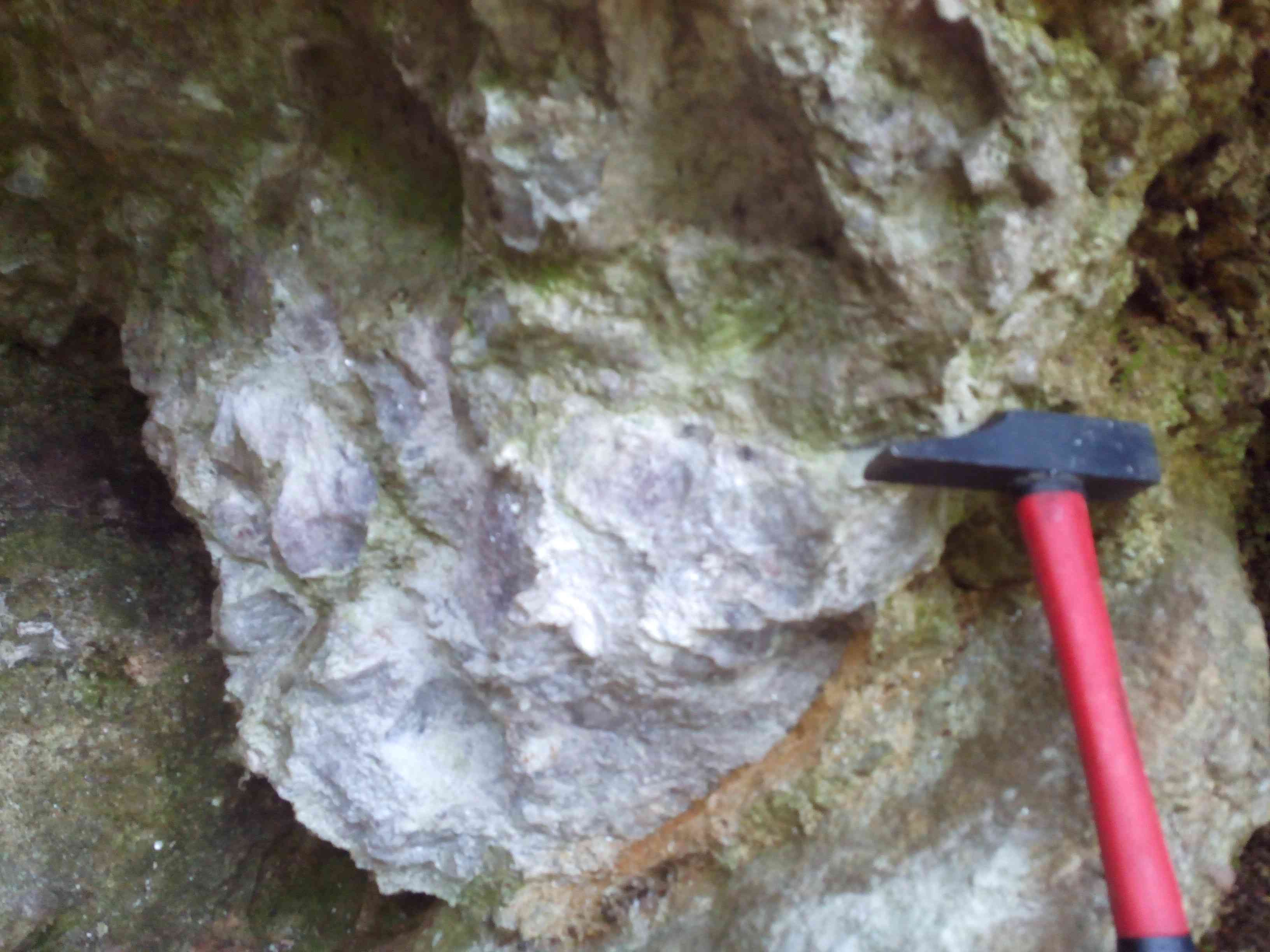 Semaine géologique dans les Alpes