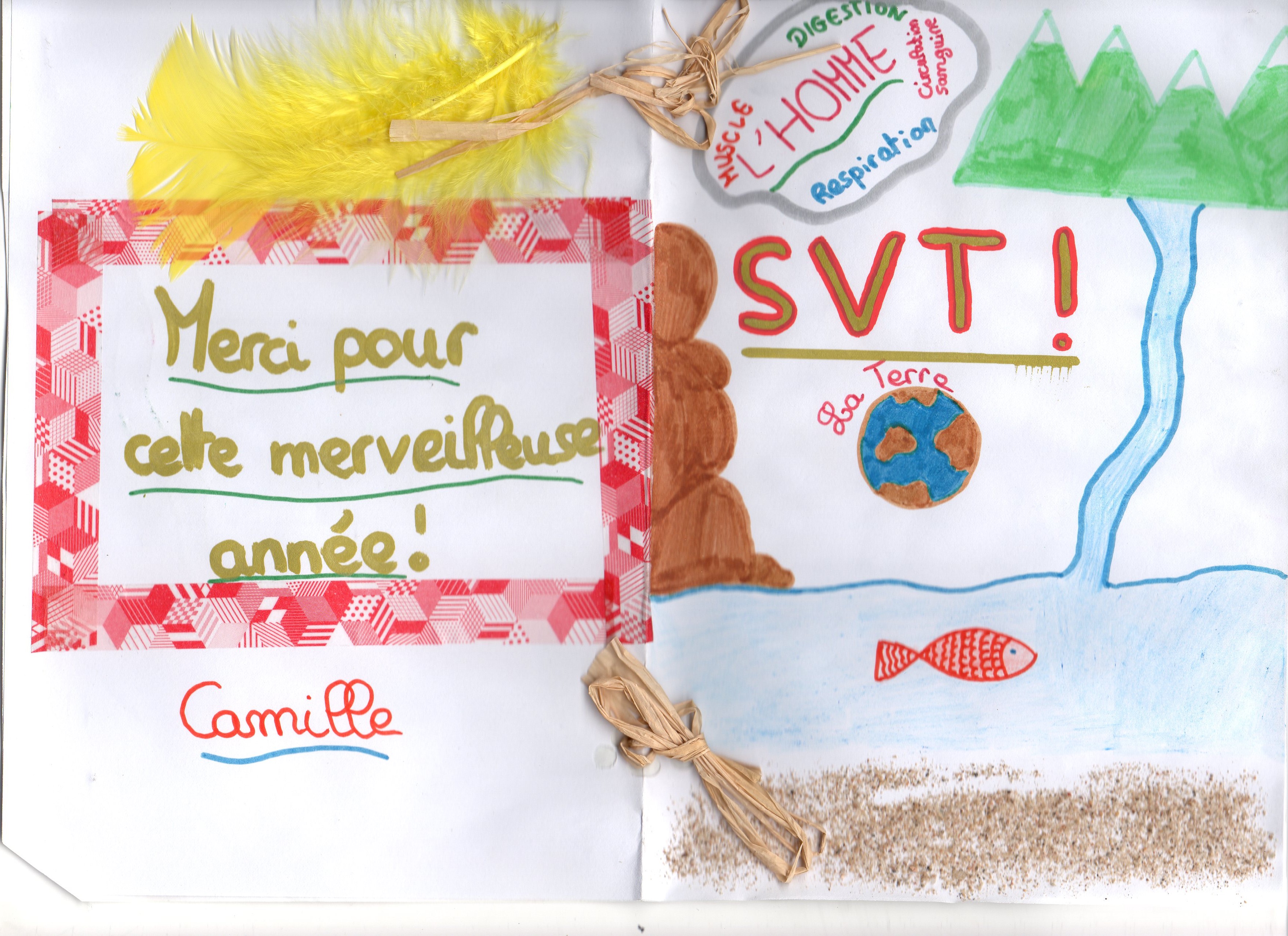 un an de SVT collège Assomption Rennes classe de 5ème (17)