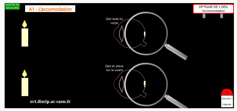 accomodation svt vision 1ère
