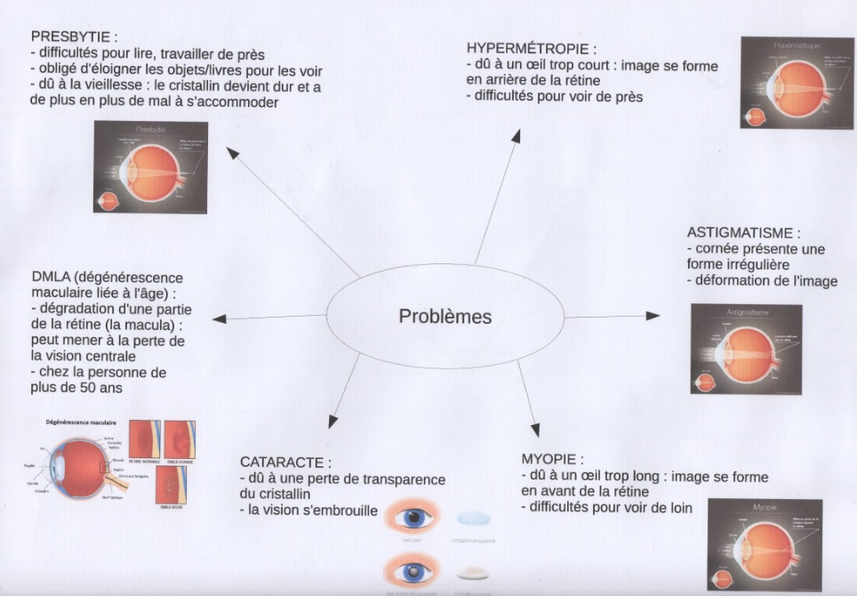 Chapitre 1 : Le rôle de l’oeil – SVT 1ère