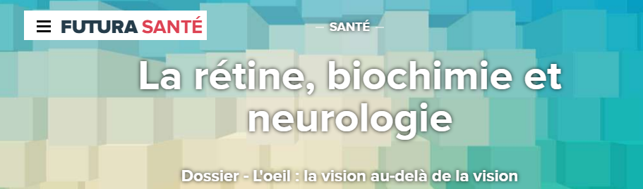 dossier-retine-oeil-vision-svt-futur-science