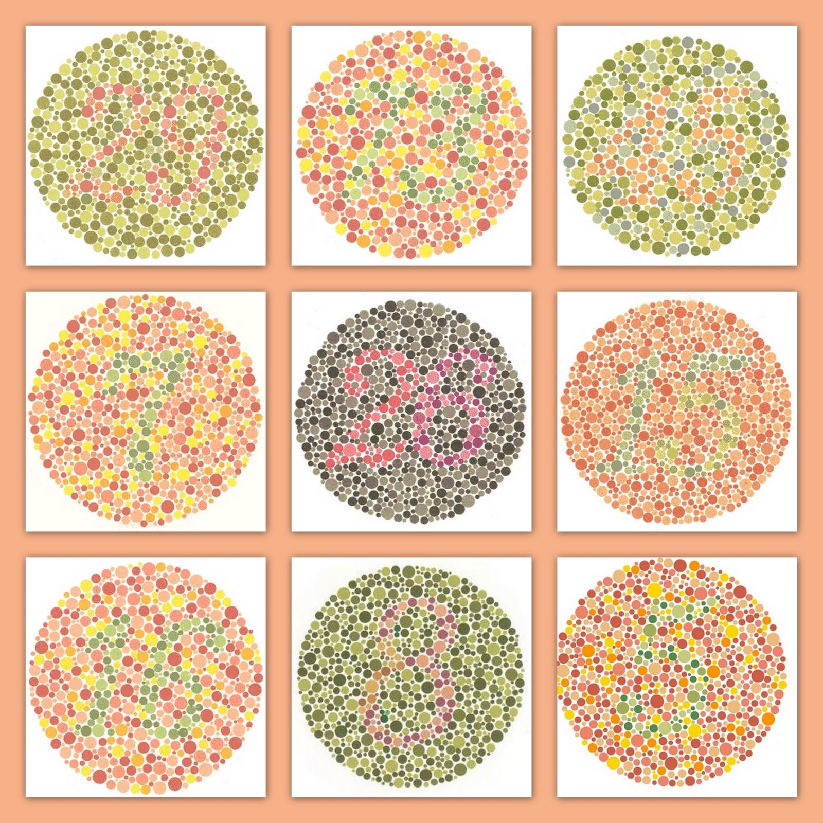 test-daltonisme-vision-des-couleurs-svt