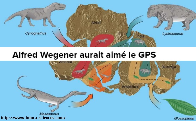 wegener-gps-theorie-fossile-svt-1ere