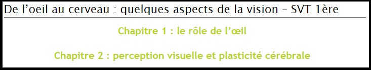 Modélisation des voies visuelles du cerveau