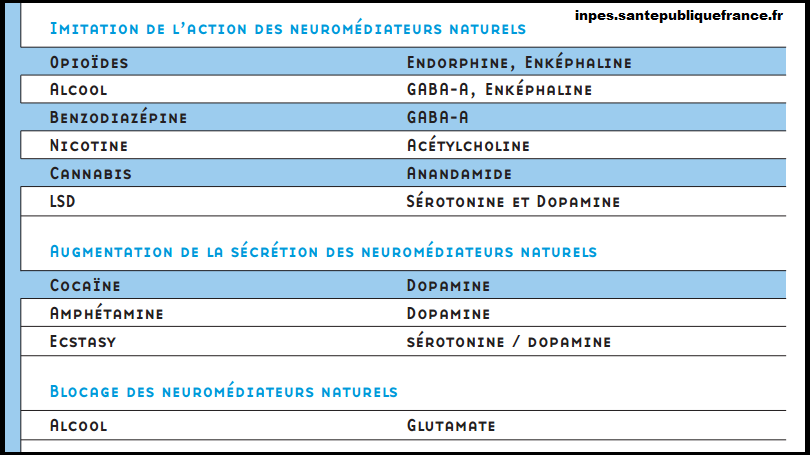 drogue-et-neuromediateurs-svt-neurone-synapse