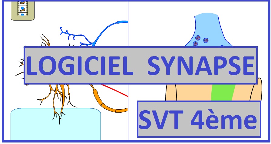 logiciel-synapse-svt-4eme1