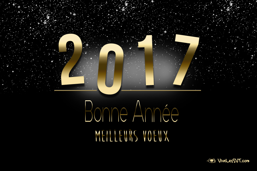 meilleurs-voeux-2017-association-vivelessvt-4