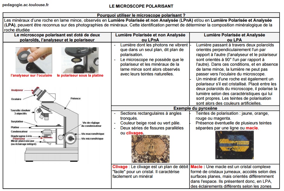 fiche-microscope-polarisant-svt