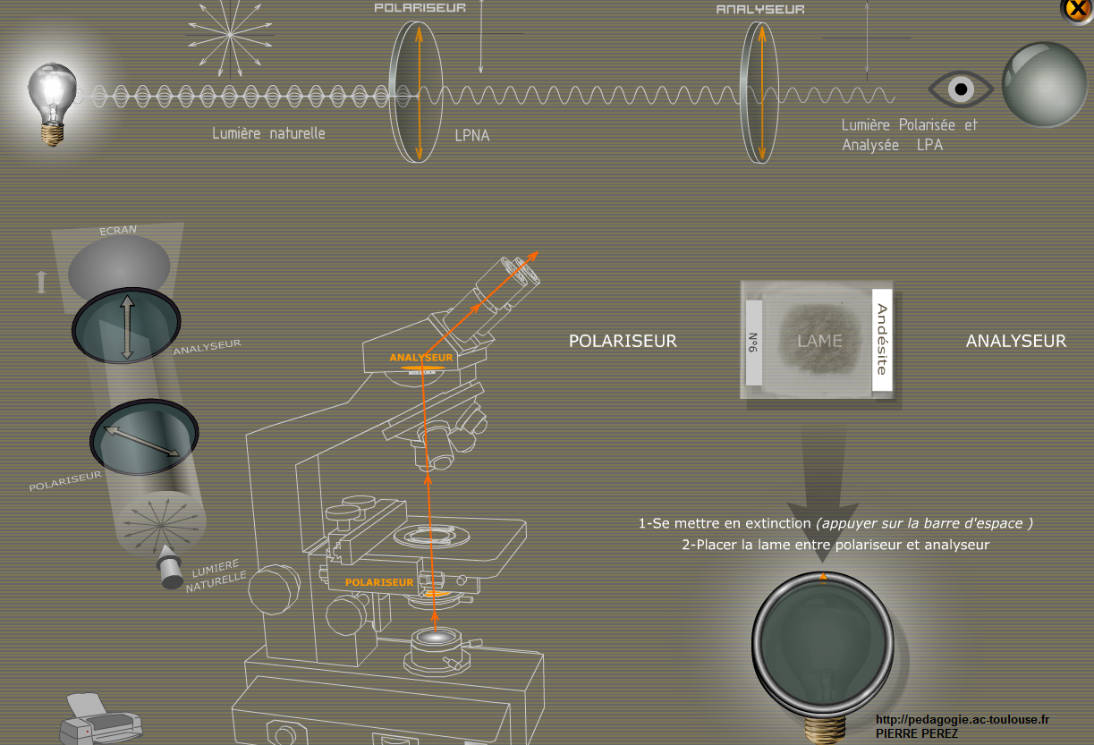 logiciel-pierre-perez-svt-microscope