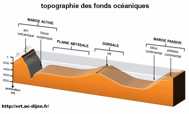topographie-des-fonds-oceaniques