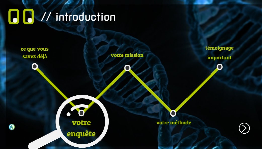 Stabilité de l'information génétique enquête rondement menée par les 1ères S avec Réplic'ADN