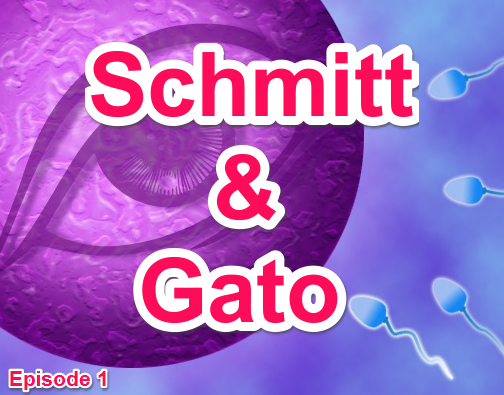 Schmitt et Gato duo SVT chroniques radio
