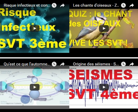Les chroniques Radio SVT – Julien Cabioch