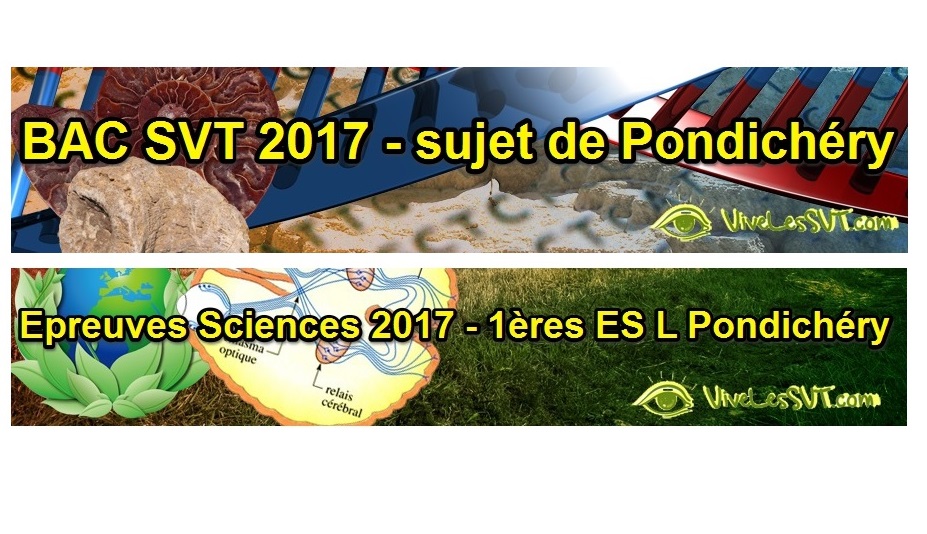 Sujet Sciences 1ères ES / L 2017 – épreuve anticipée Pondichéry