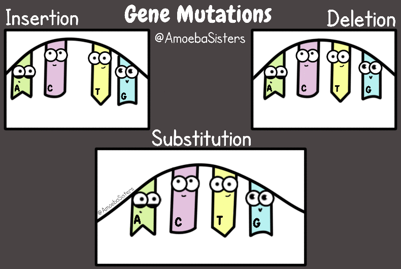 Gene Mutation GIF