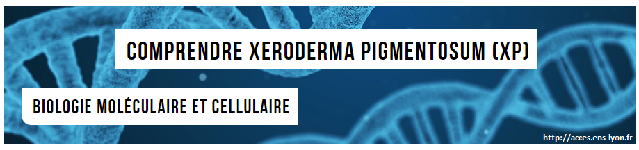 xeroderma pigmentosum svt 1ere s