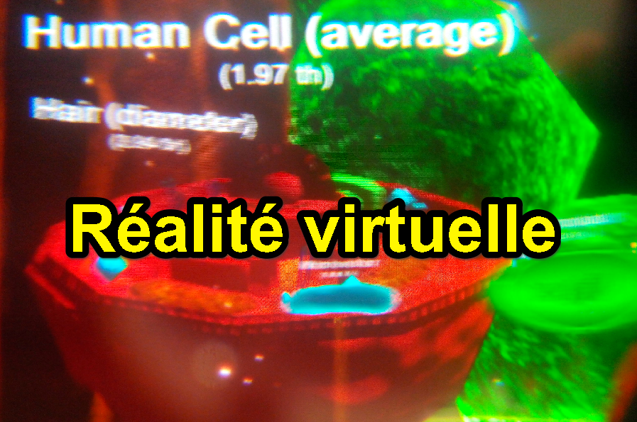 Réalité virtuelle en SVT