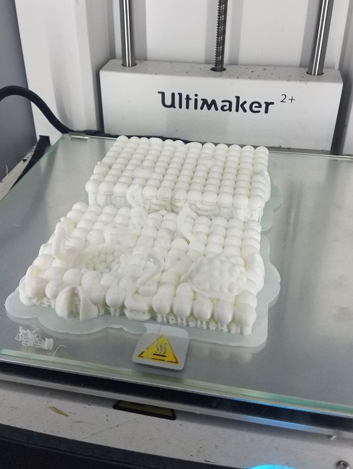 L’imprimante 3D au service des SVT