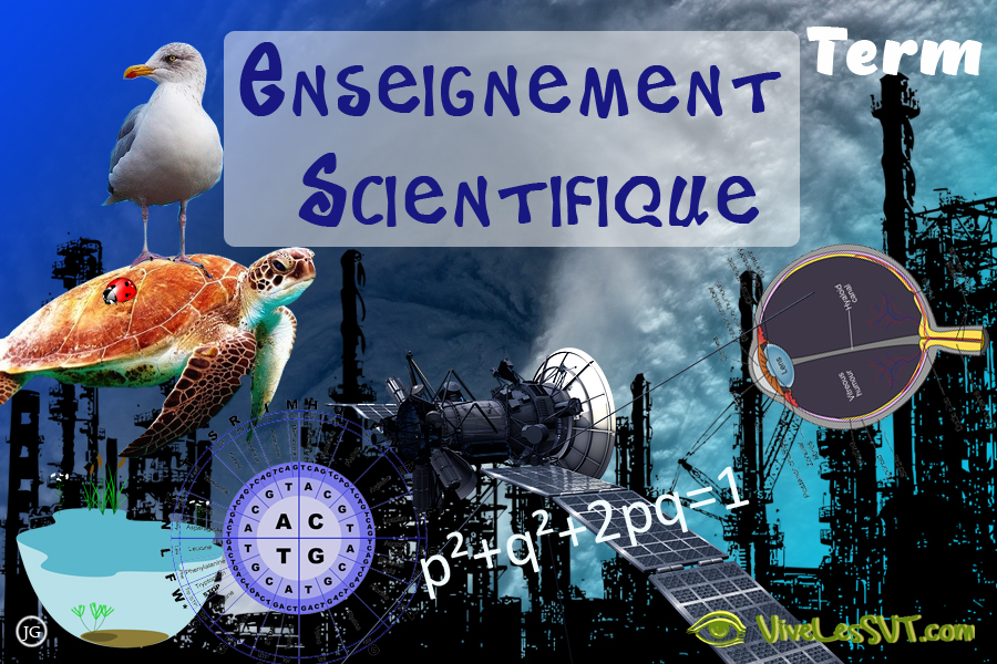 Enseignement scientifique – Lycée