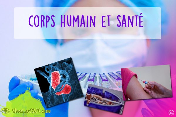 corps humain et santé 1ère spé SVT | Vive les SVT ! Les sciences de la