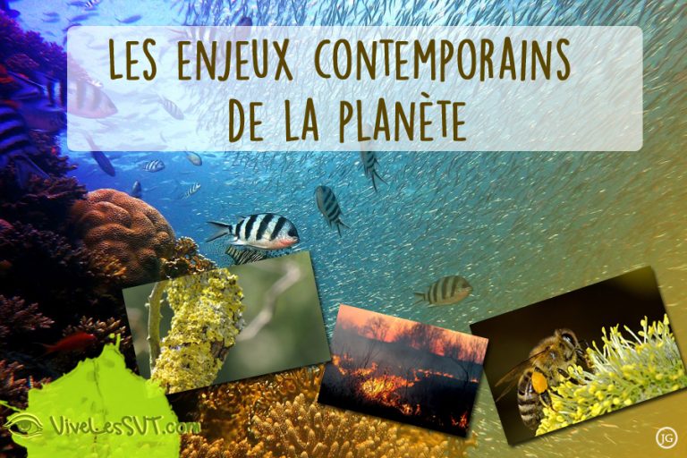 Les Enjeux Contemporains De La Plan te 1ere Sp cialit SVT Vive Les 