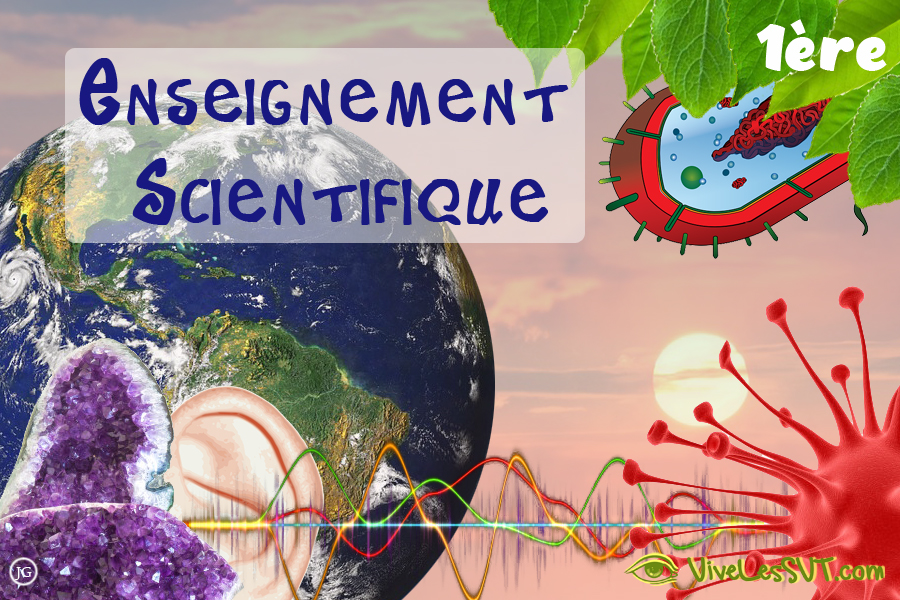 Sujets zéro en enseignement scientifique – 1ère