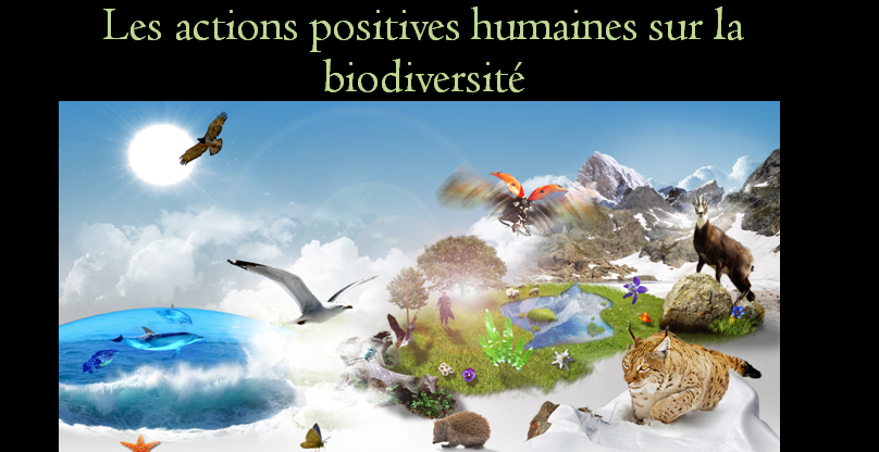 Les échelles de la biodiversité – SVT 2nde