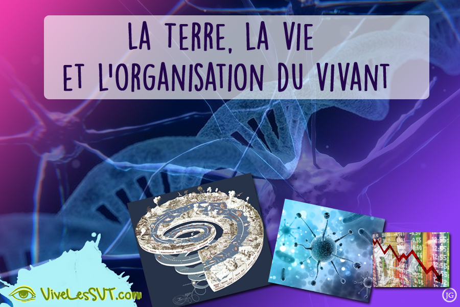 THÈME I – La Terre, la vie et l’organisation du vivant