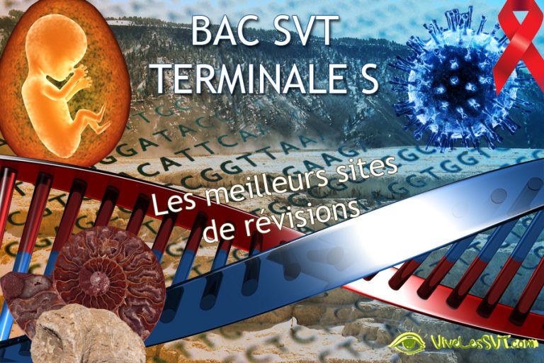 Coll ge Et Lyc e Vive Les SVT Les Sciences De La Vie Et De La Terre 