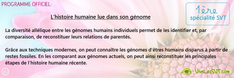 L Histoire Humaine Lue Dans Son Génome