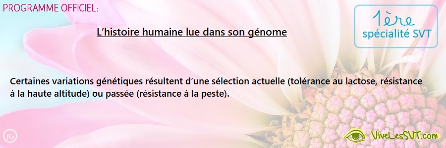 L’histoire humaine lue dans son génome