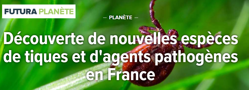 De nouvelles espèces de tiques et d’agents pathogènes en France