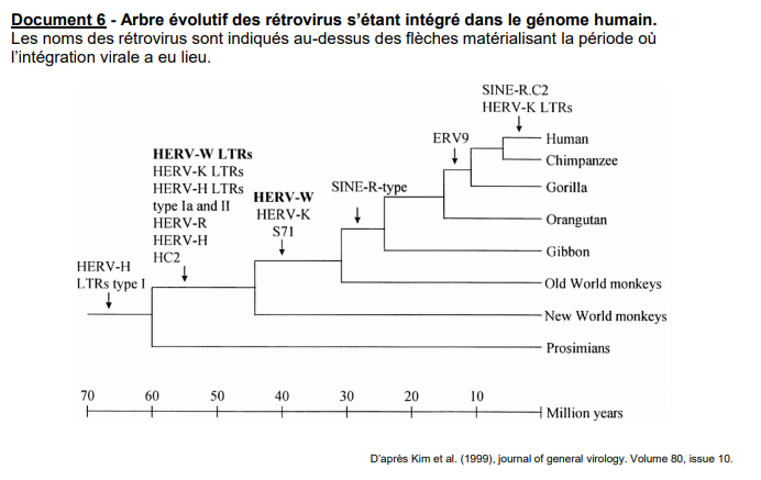 Un sujet pour s’entraîner pour l’épreuve de spécialité SVT en terminale