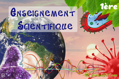 Enseignement scientifique